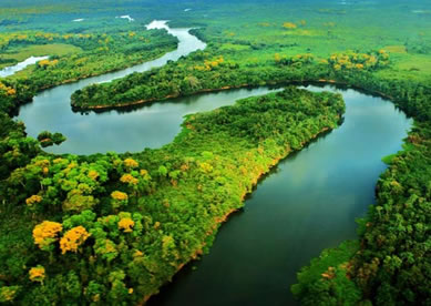 Amazonas